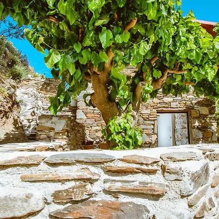 Ellafos Traditional Living