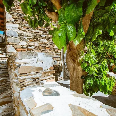 Appartement Ellafos Traditional Living